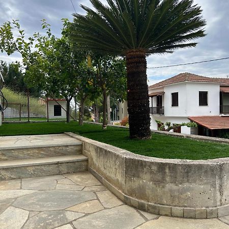 Athena'S Luxury Place Agria Bagian luar foto
